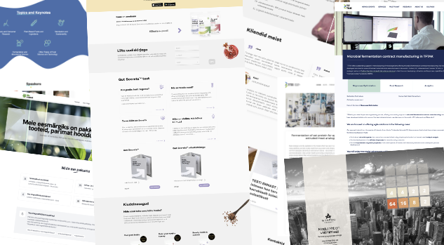 Web Project Preview